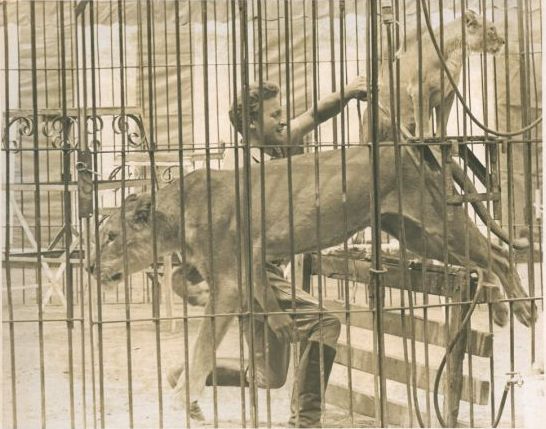 Lion Tamer